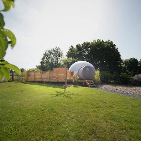Bulles Odette & Ginette Et Tiny House Suzette "Au Guet Marais" Etape Insolite Paliseul Exterior photo