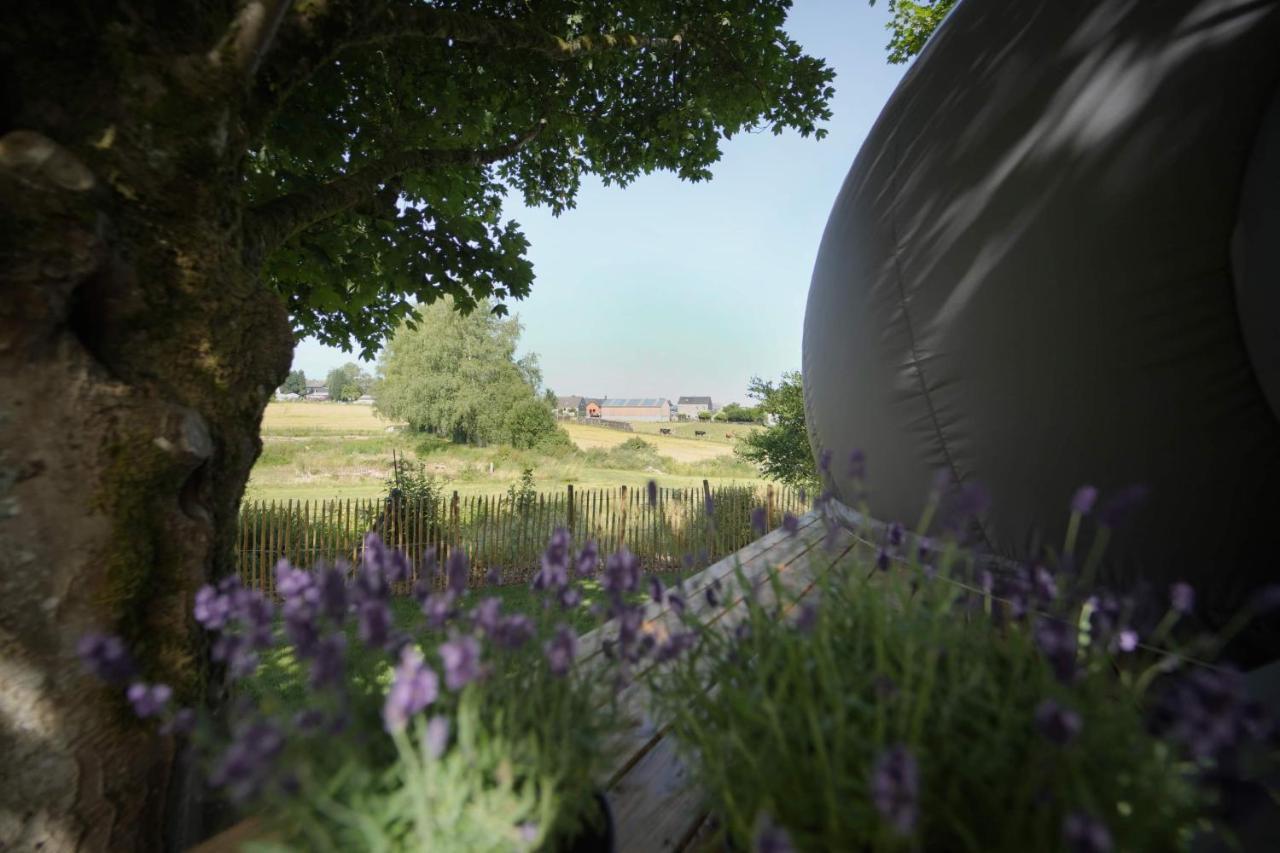 Bulles Odette & Ginette Et Tiny House Suzette "Au Guet Marais" Etape Insolite Paliseul Exterior photo