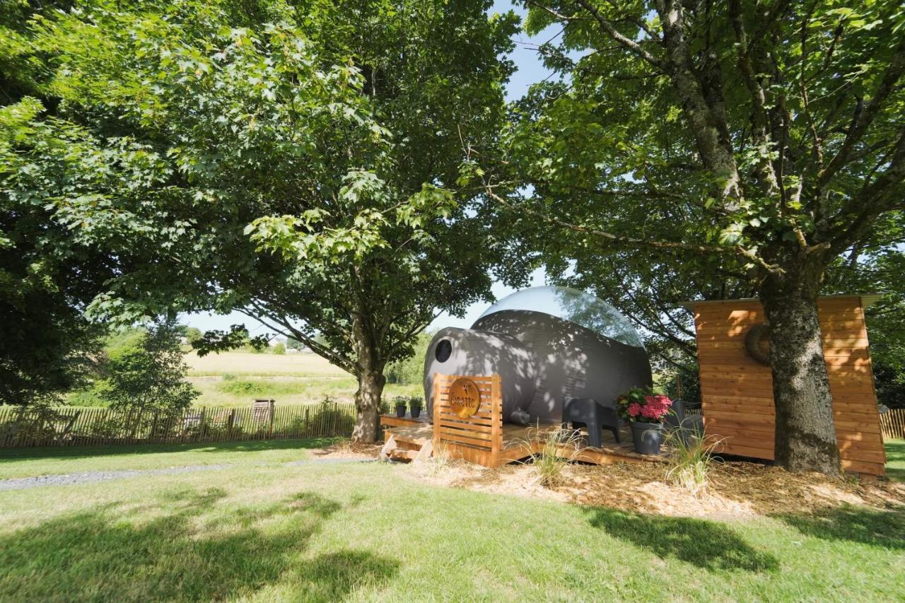 Bulles Odette & Ginette Et Tiny House Suzette "Au Guet Marais" Etape Insolite Paliseul Exterior photo